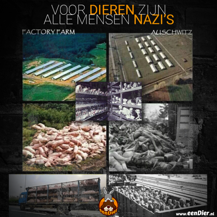 Vergelijking vee industrie met uitroeiing joden.