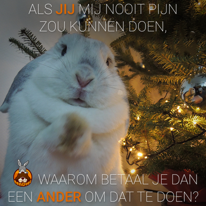 Schattig konijn