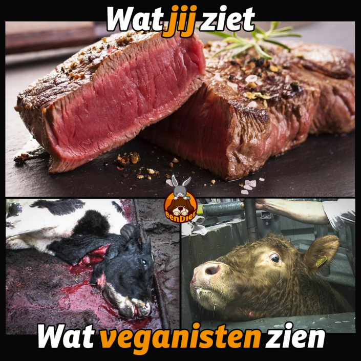 Jij ziet een lekker stuk rouwe biefstuk, veganisten zien een koe lijden en bloeden