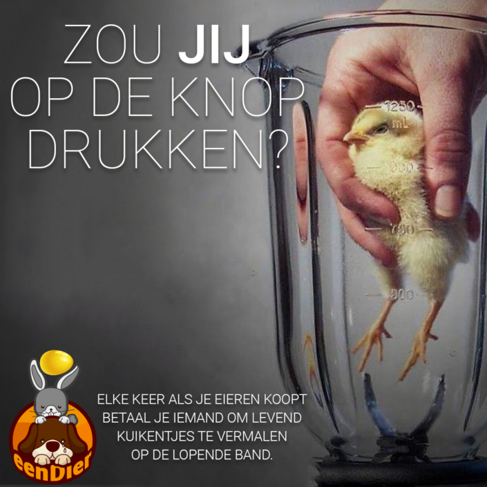 Kuikentje in een blender