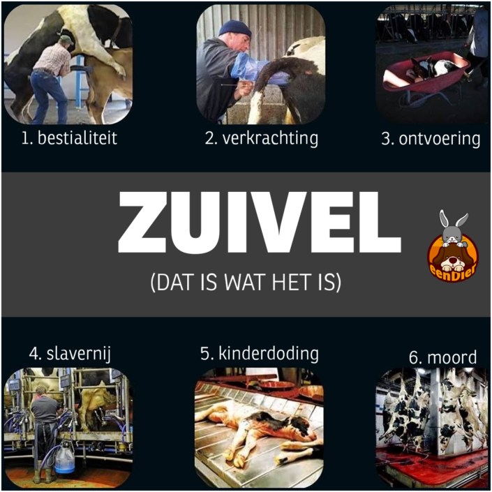 Zuivel, dat is wat het is